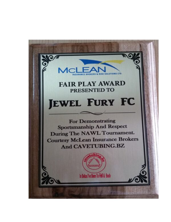 8 ½” x 11” Award Plaque (Large) - Image 2